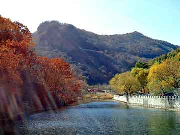 澳门二四六天天彩图库，天涯社区论坛首页